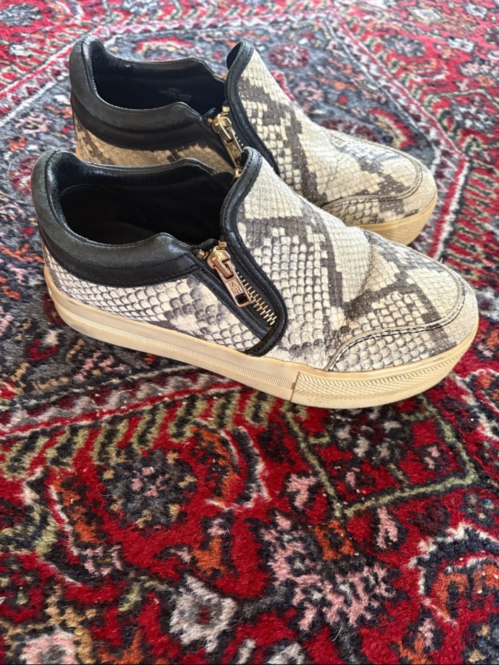 Slip-On Snake Print Sneakers in Black and Cream
